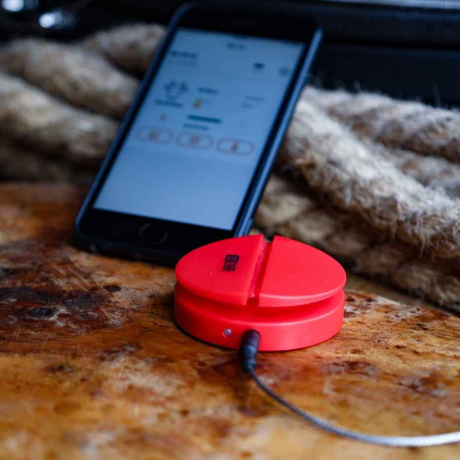 INKBIRD BG-BT1X Bluetooth Thermometer