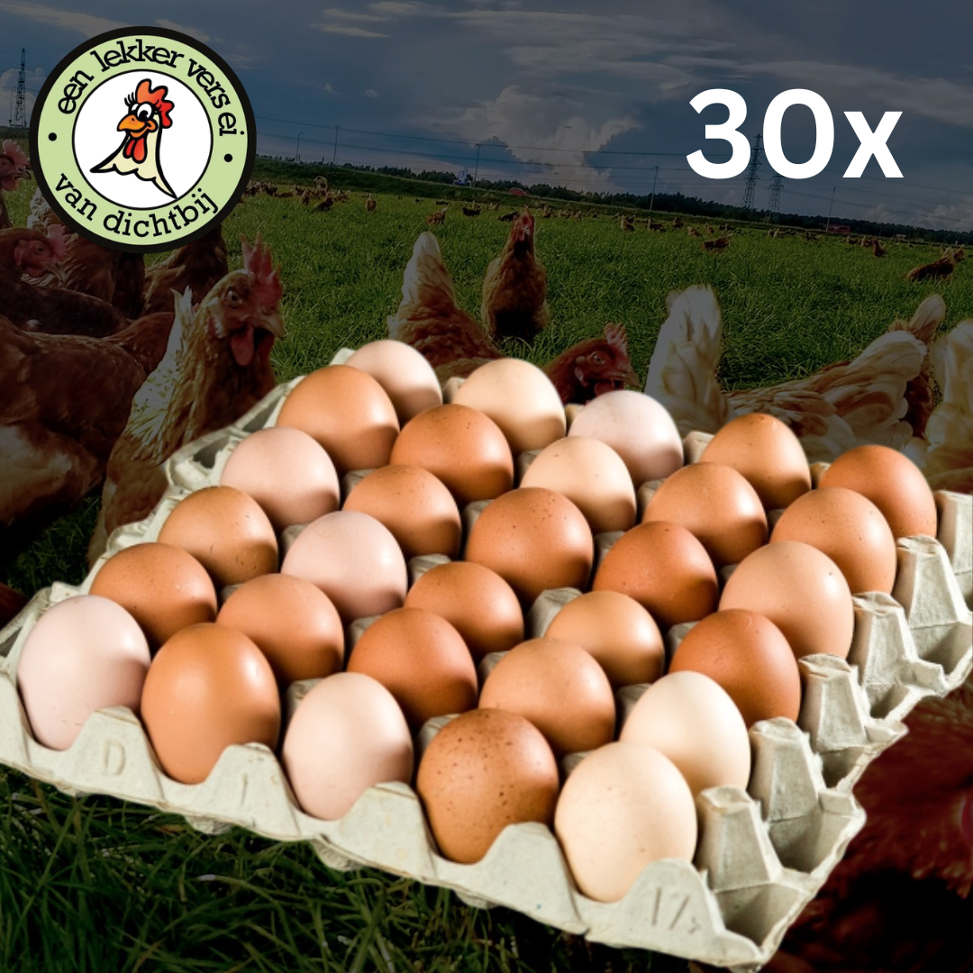 Vrije uitloopeieren 30st M/L