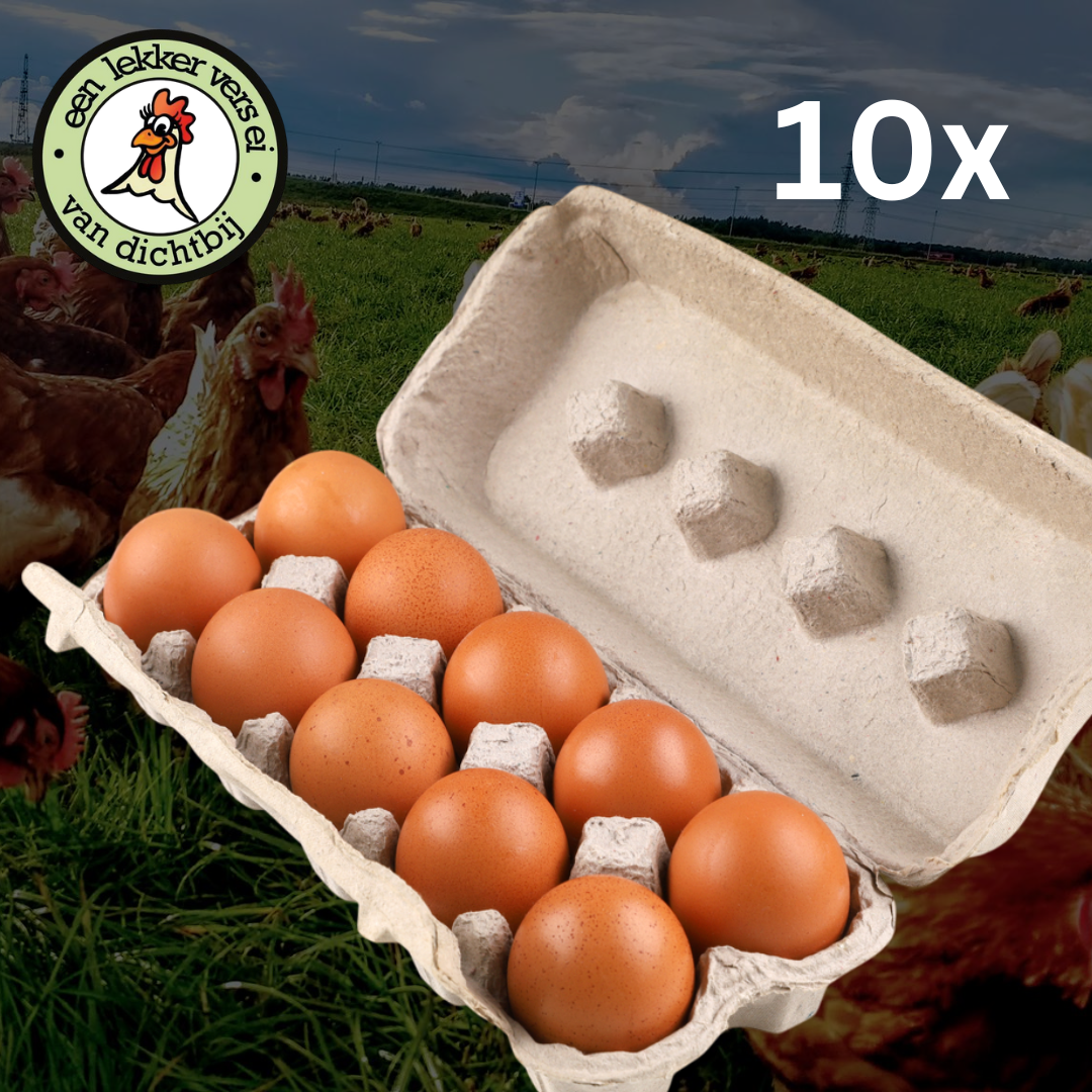 Vrije uitloopeieren 10st M/L