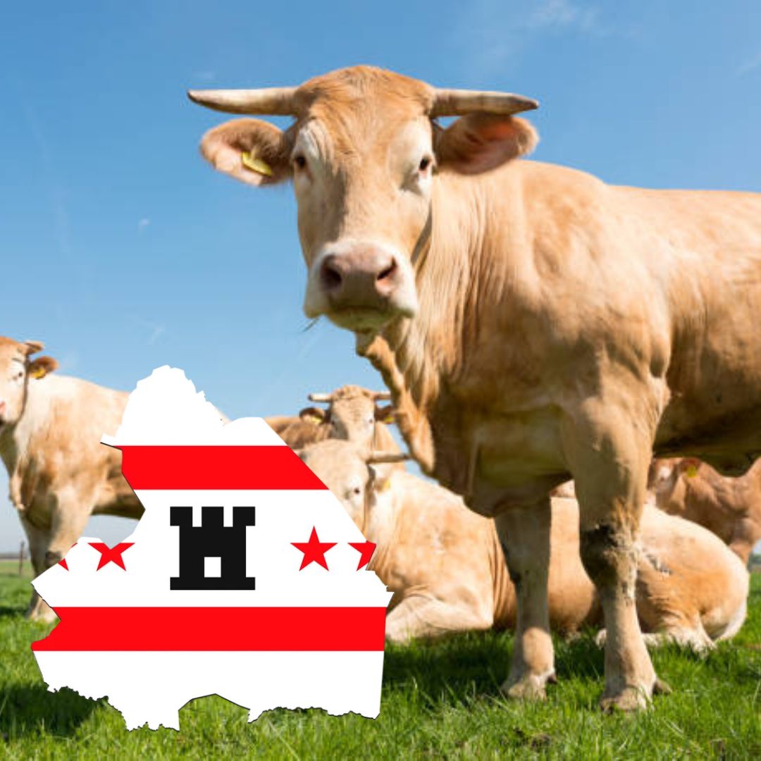 Van de Boer (uut drenthe)